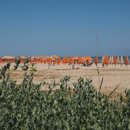 La Casa Sul Mare Daire Montesilvano Marina Dış mekan fotoğraf
